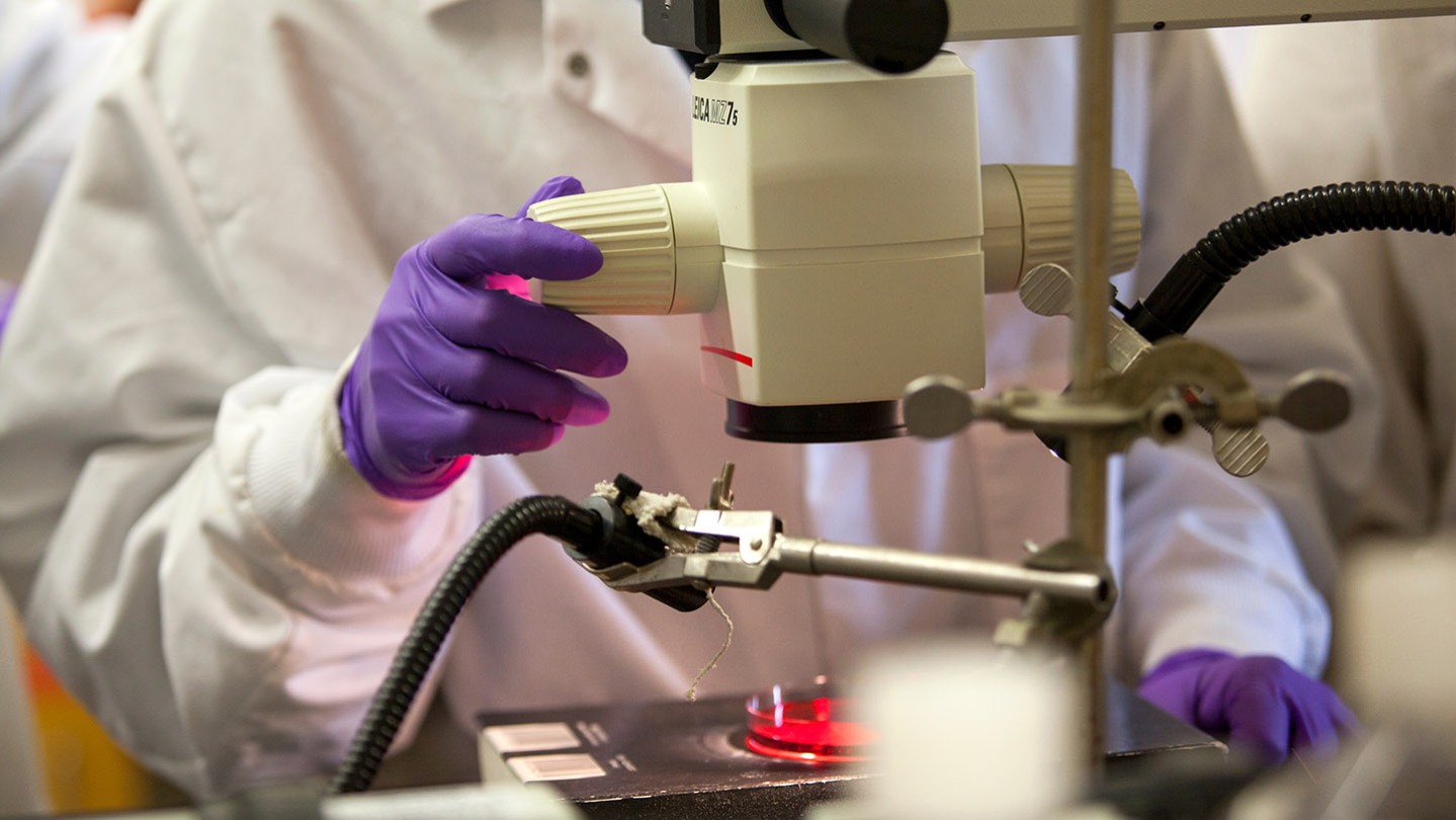 Research Awards | Pathobiology Graduate Program | Medical School ...